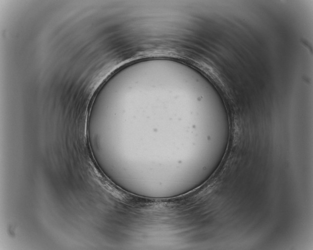 X0000103261228200809121915