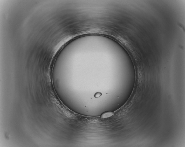 X0000103261230200809121915