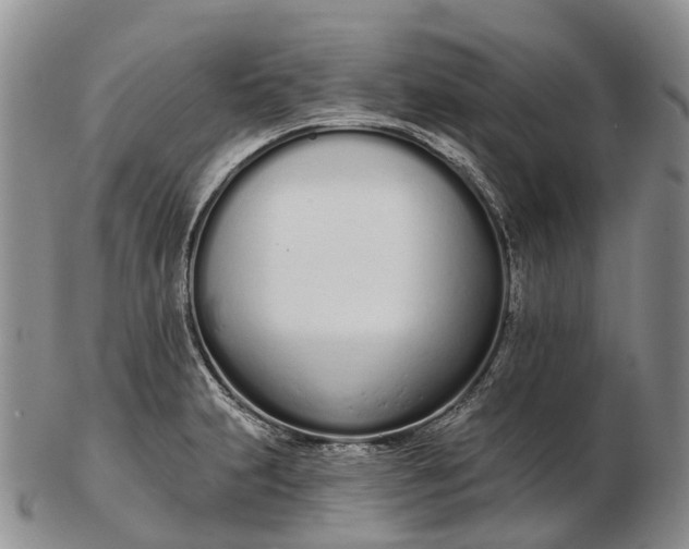 X0000103261231200809121915