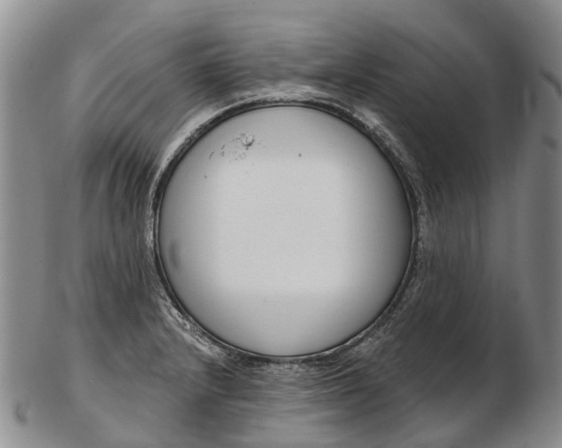 X0000103261232200809121915