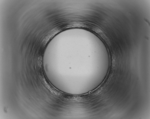 X0000103261233200809121916