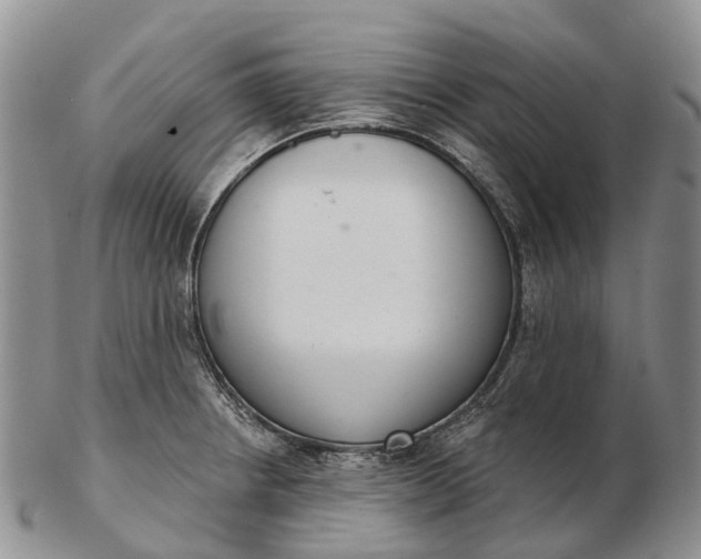 X0000103261234200809121916