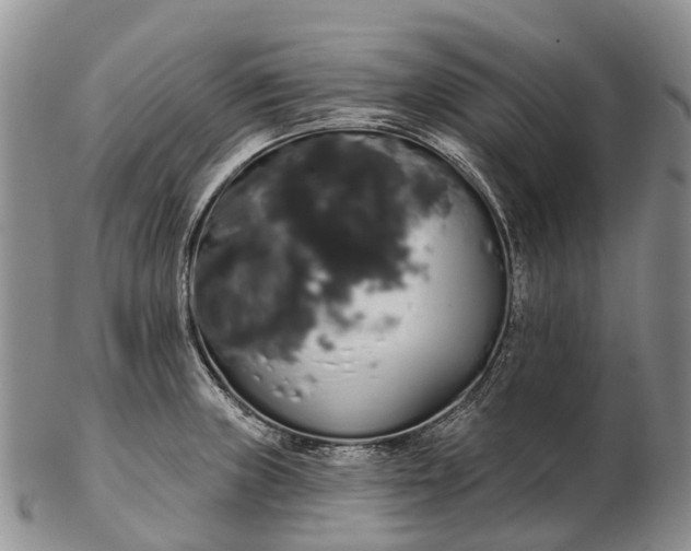 X0000103261235200809121916