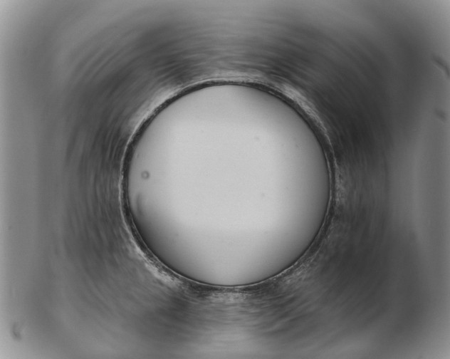 X0000103261237200809121916