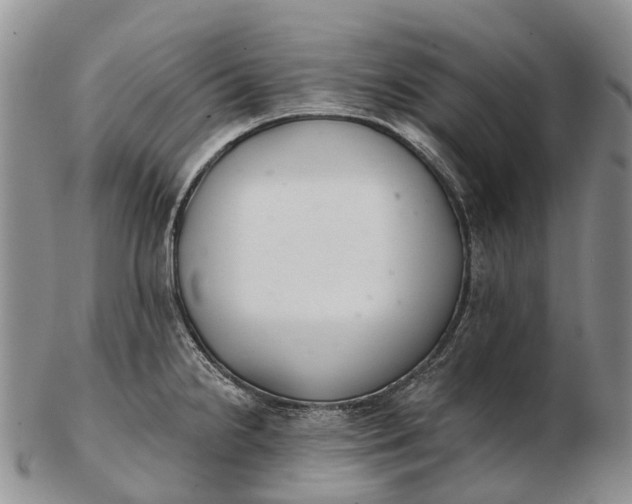 X0000103261238200809121916