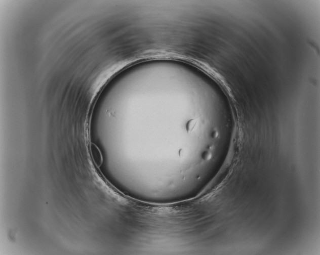 X0000103261239200809121916