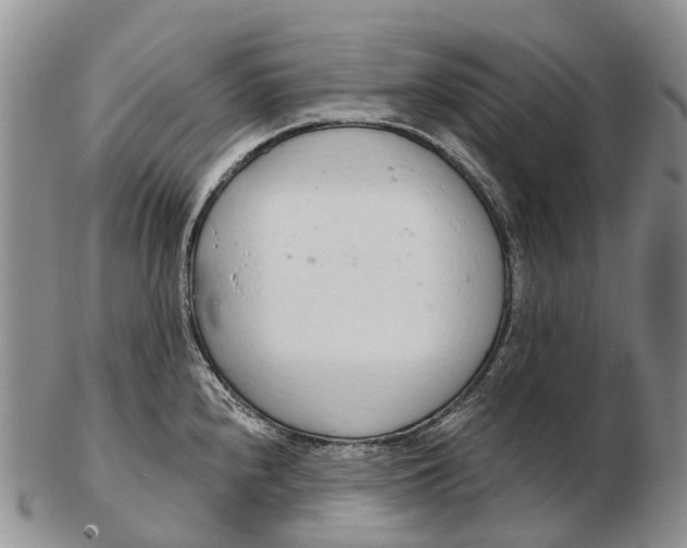 X0000103261240200809121916