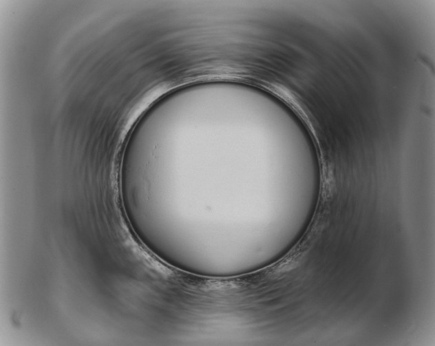 X0000103261243200809121916