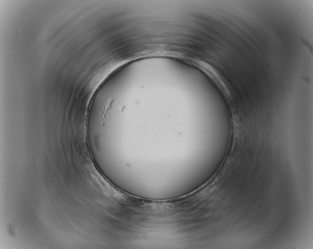 X0000103261244200809121916