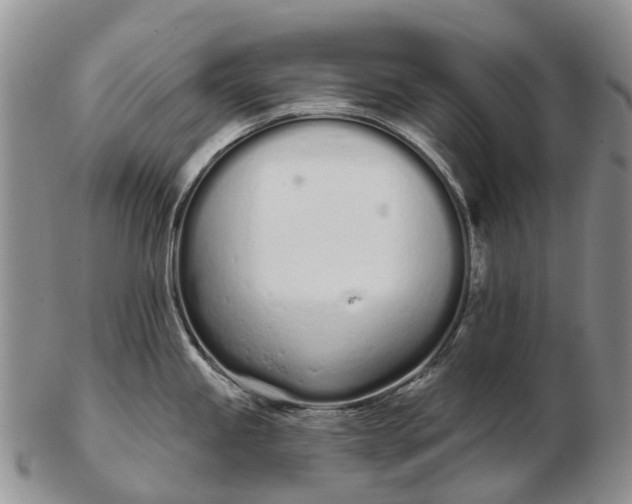 X0000103261245200809121916