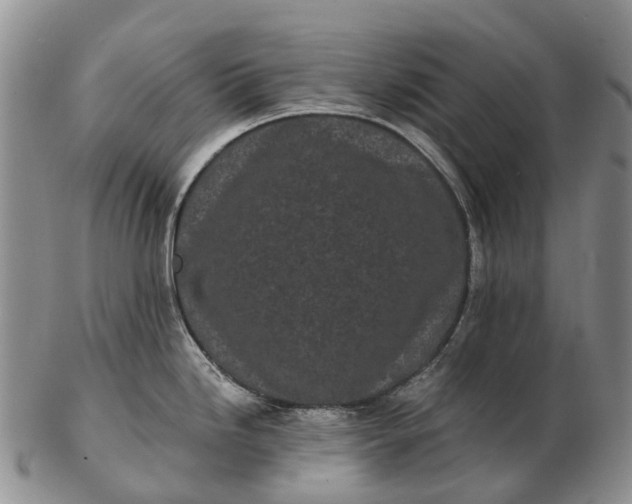 X0000103261246200809121916