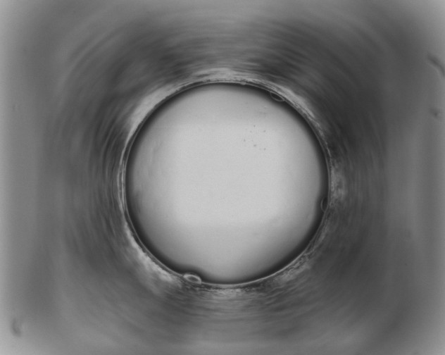 X0000103261247200809121916