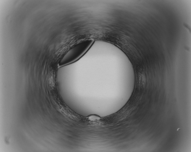 X0000103261250200809121915