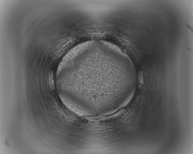 X0000103261252200809121915