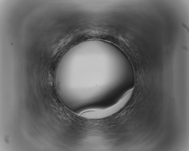 X0000103261253200809121915