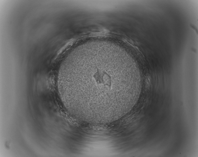 X0000103261254200809121915