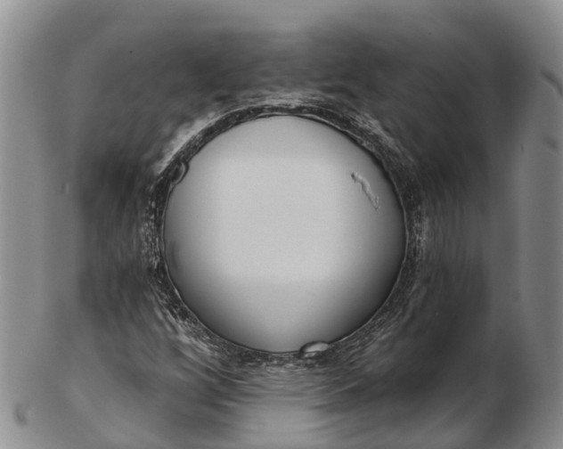 X0000103261256200809121915