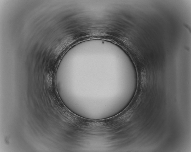 X0000103261257200809121915