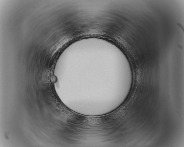 X0000103261258200809121915