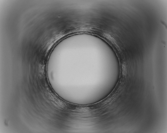 X0000103261260200809121915