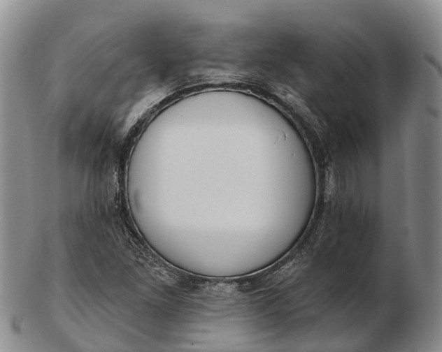 X0000103261261200809121915