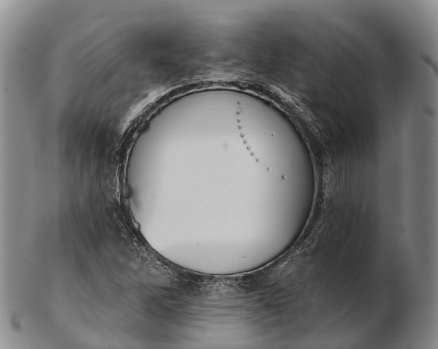 X0000103261262200809121915