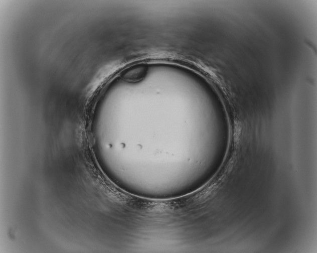 X0000103261263200809121915