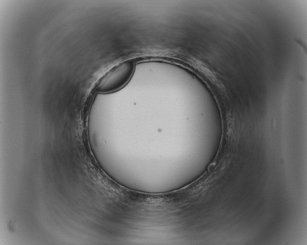 X0000103261264200809121915