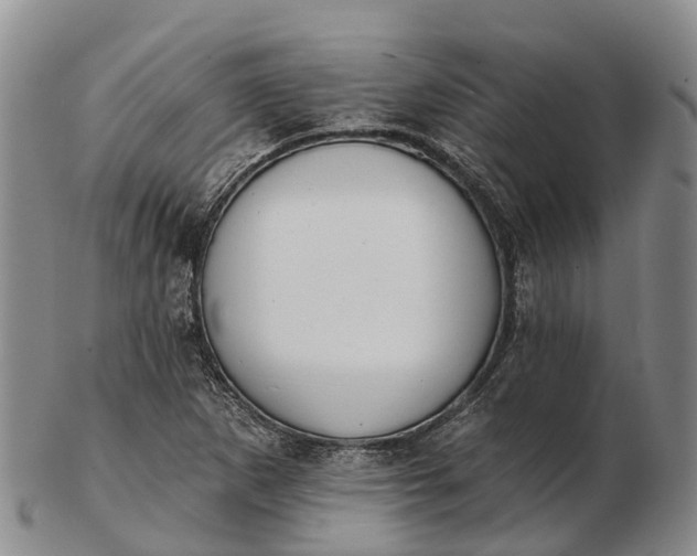 X0000103261265200809121915