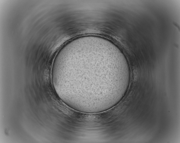 X0000103261266200809121915