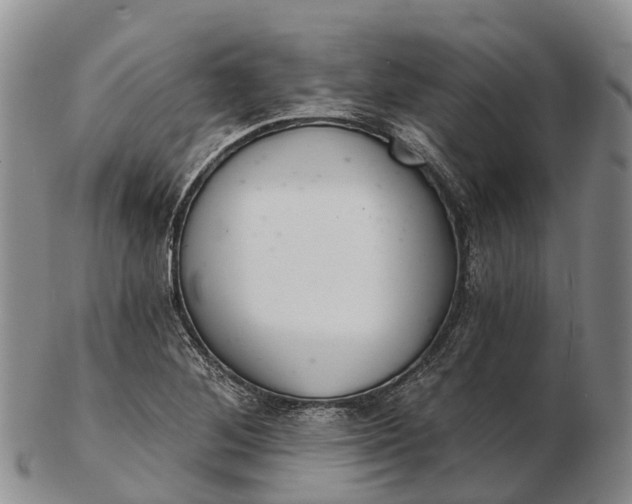 X0000103261268200809121915