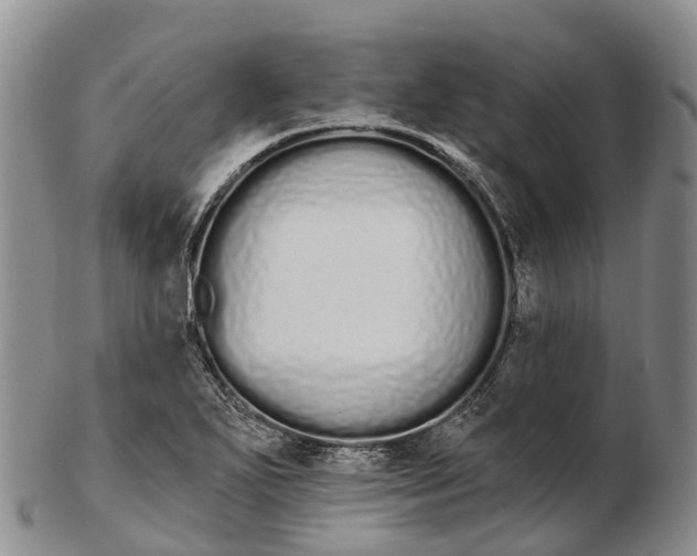 X0000103261271200809121915