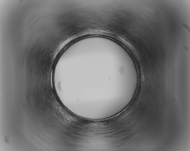 X0000103261272200809121915