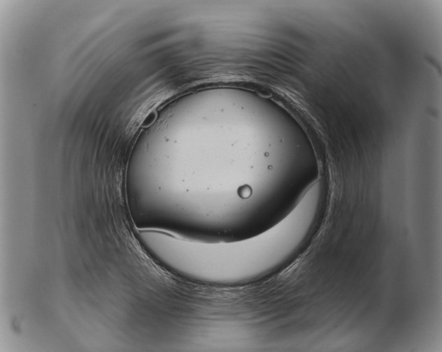 X0000103261273200809121915