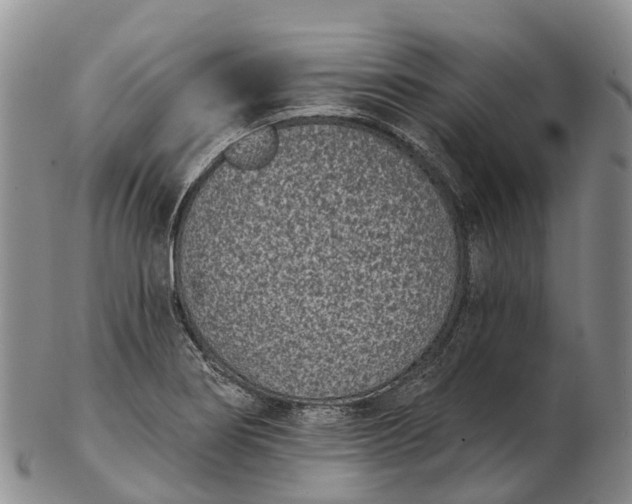 X0000103261274200809121915