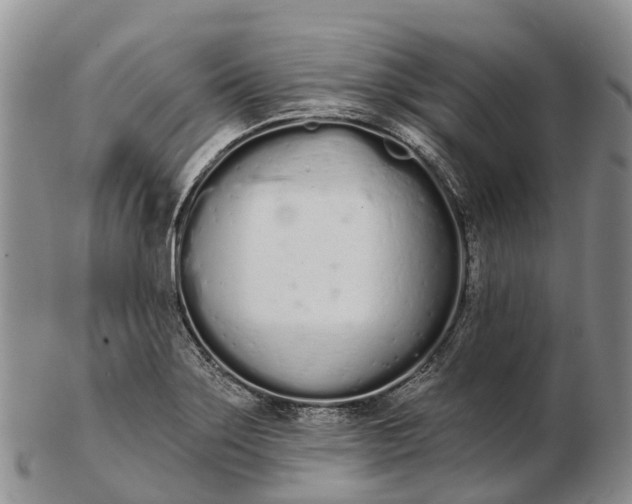 X0000103261275200809121915