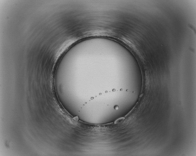 X0000103261277200809121914