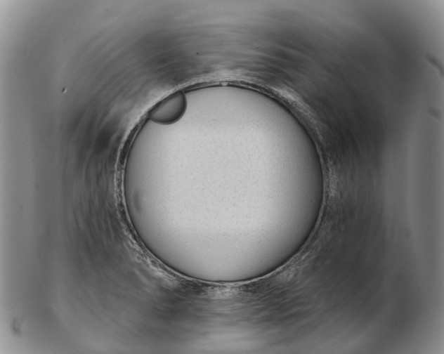 X0000103261278200809121914