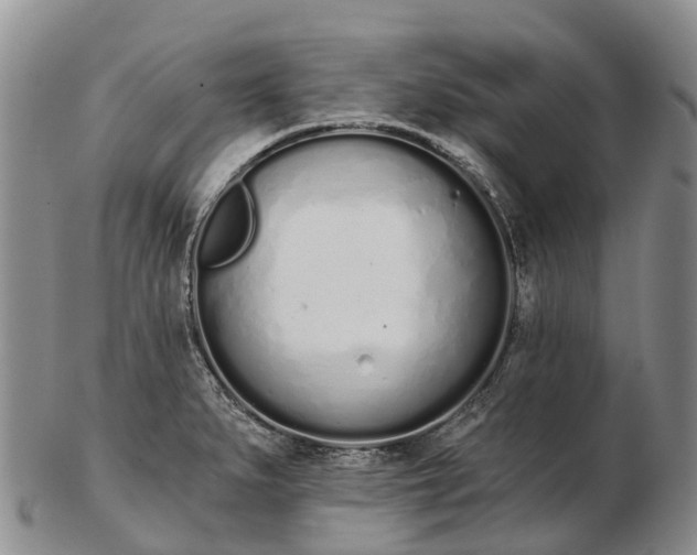 X0000103261279200809121914