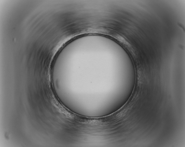 X0000103261280200809121914