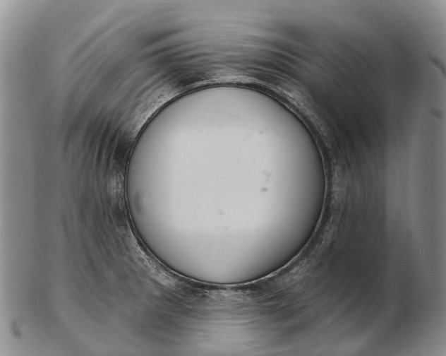 X0000103261281200809121914