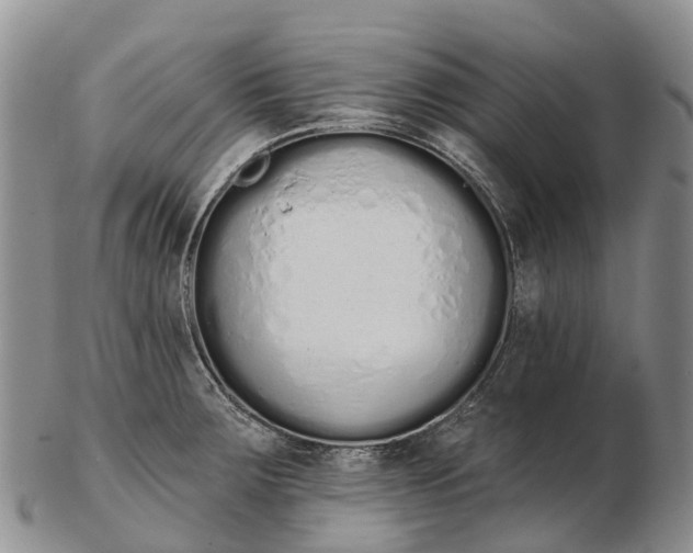 X0000103261283200809121914