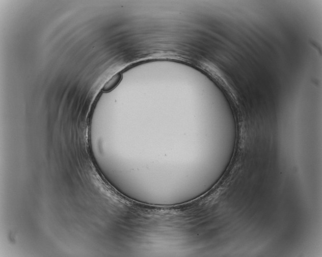 X0000103261284200809121914