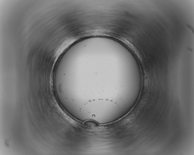 X0000103261285200809121914