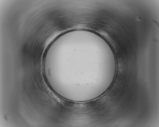 X0000103261286200809121914