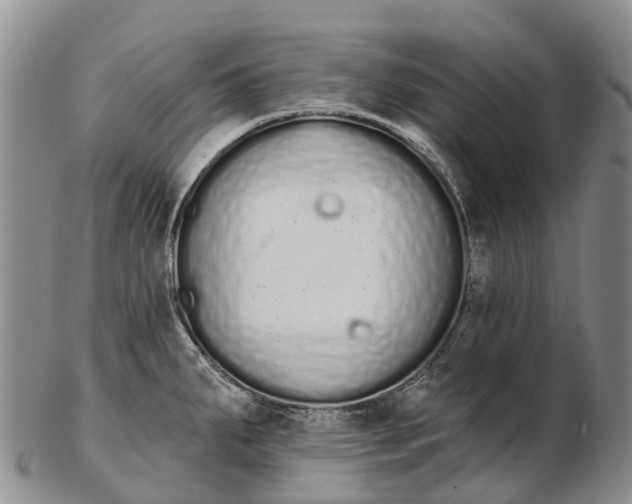 X0000103261287200809121914