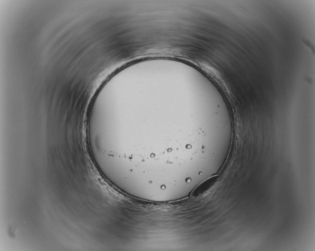 X0000103261288200809121914