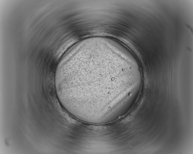 X0000103261289200809121914