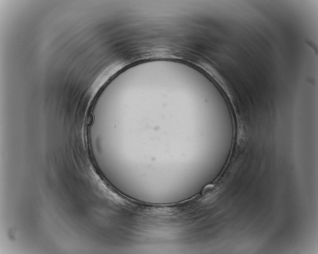 X0000103261293200809121914