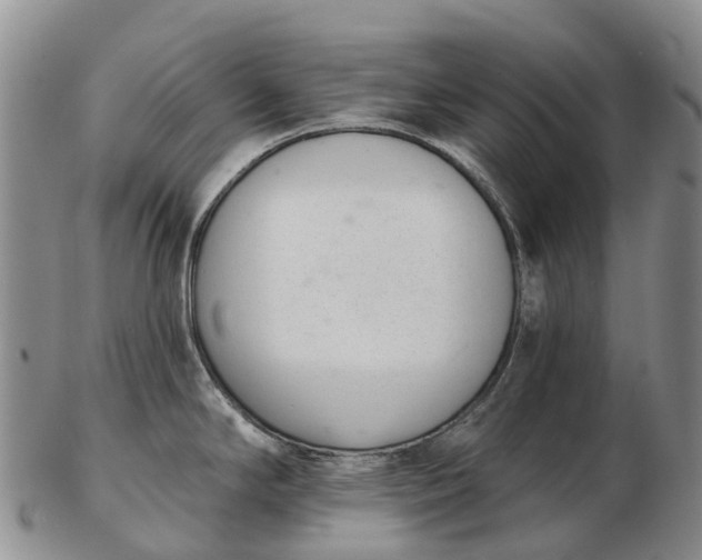 X0000103261294200809121914